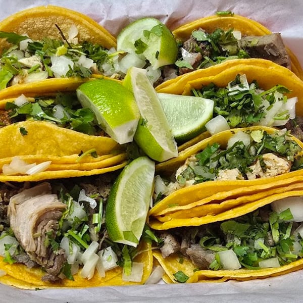 A close-up of several Dona Mary tacos with meat, cilantro, onions, and lime wedges.